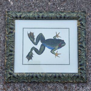 Framed Hand Colored Print Bull Frog by Naturalist Artist Mark Catesby